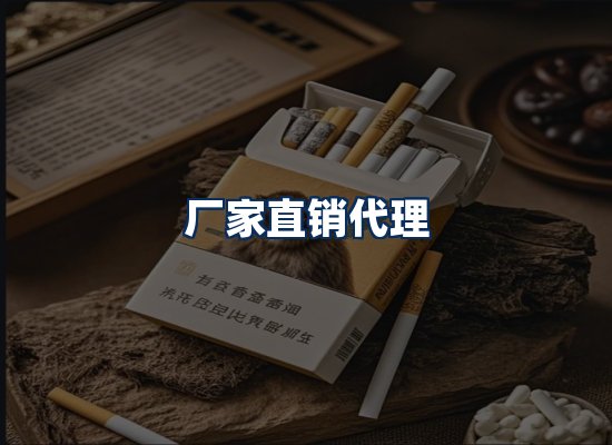 专业团队办公环境